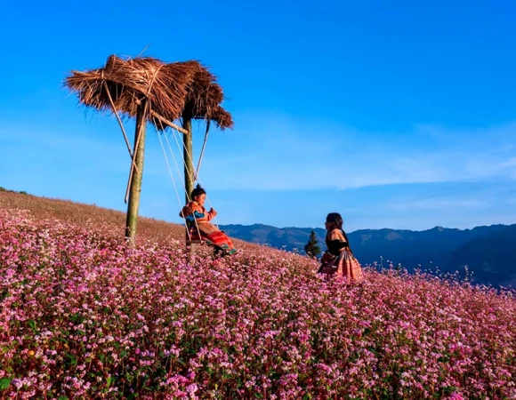 What makes Ha Giang’s four seasons...