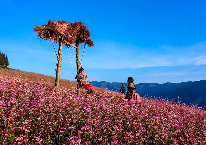 What makes Ha Giang's four seasons so enticing?