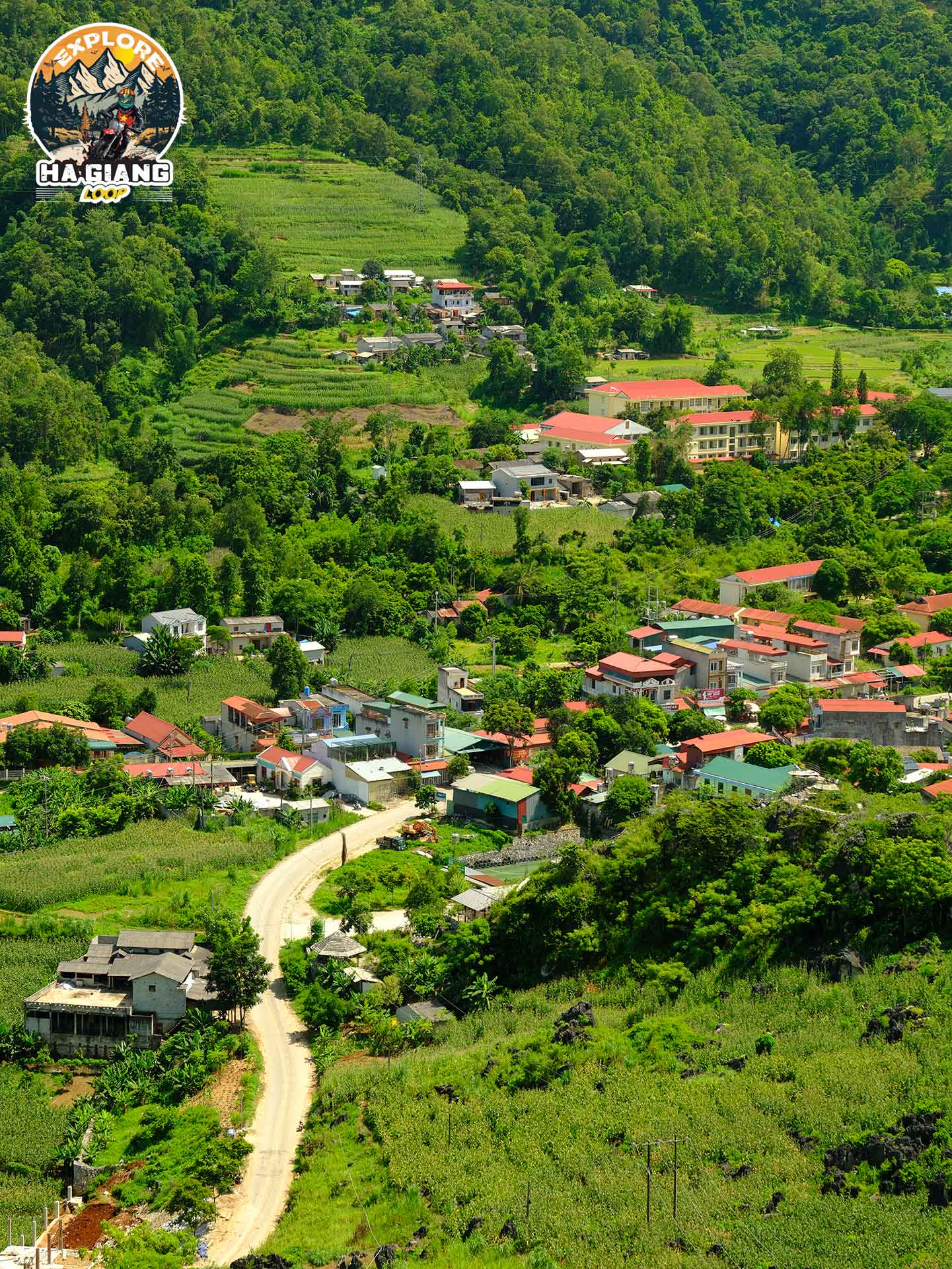 What do Yên Minh pine forest has that attractive?
