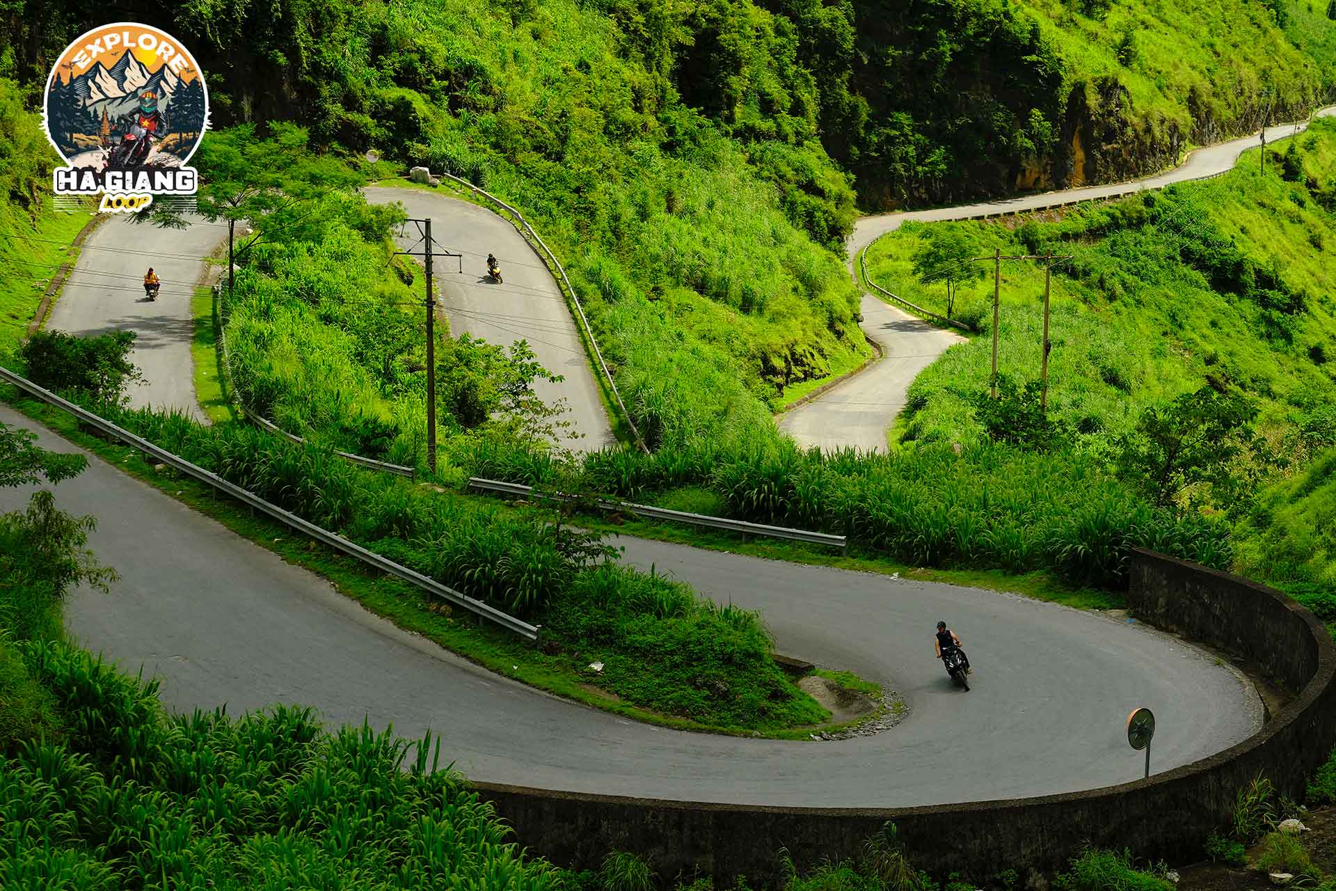 Spring in Ha Giang – A Vibrant Blooming Picture