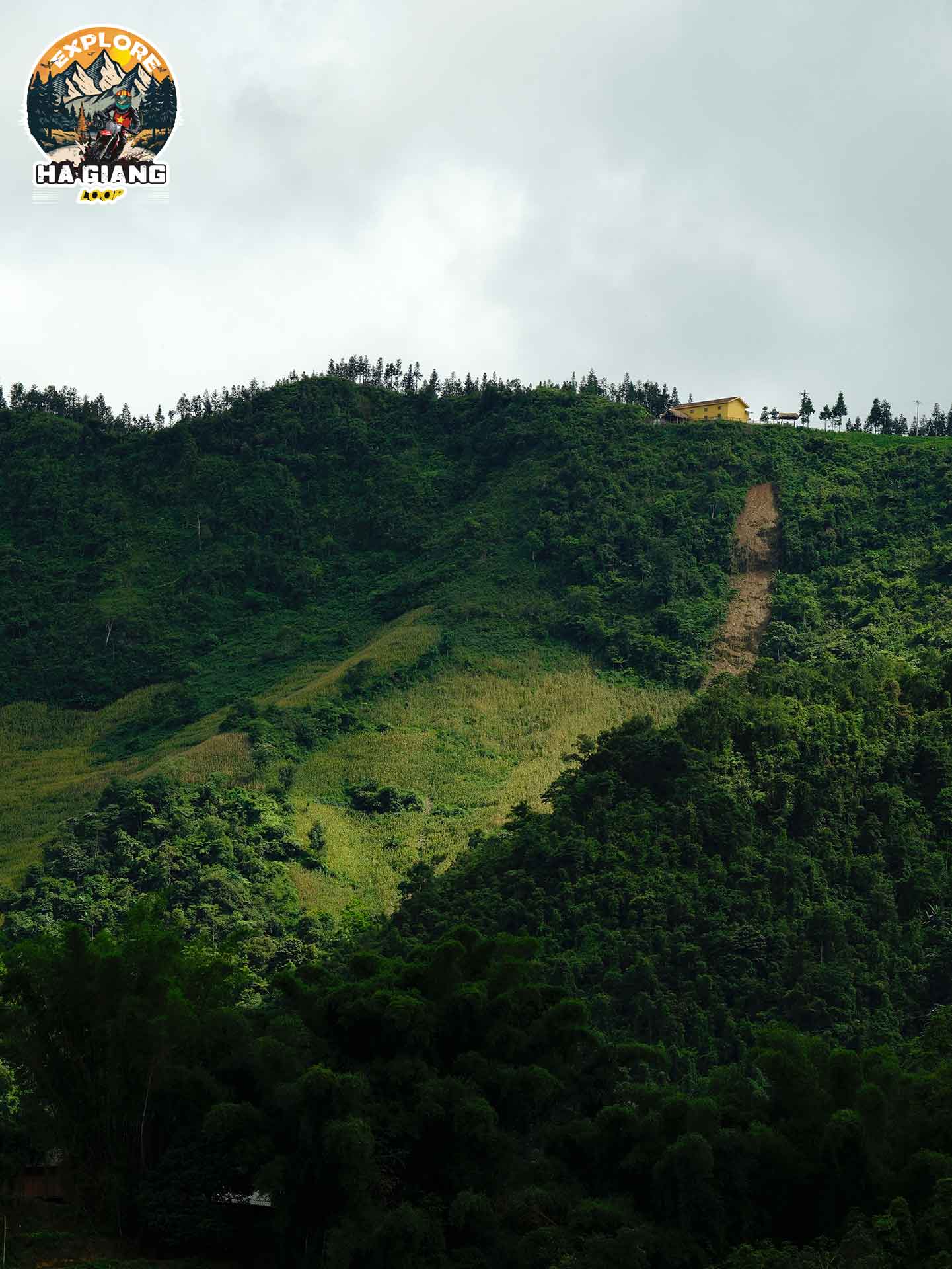 Yên Minh pine forest – A dreamy destination in the middle of Hà Giang vast forest
