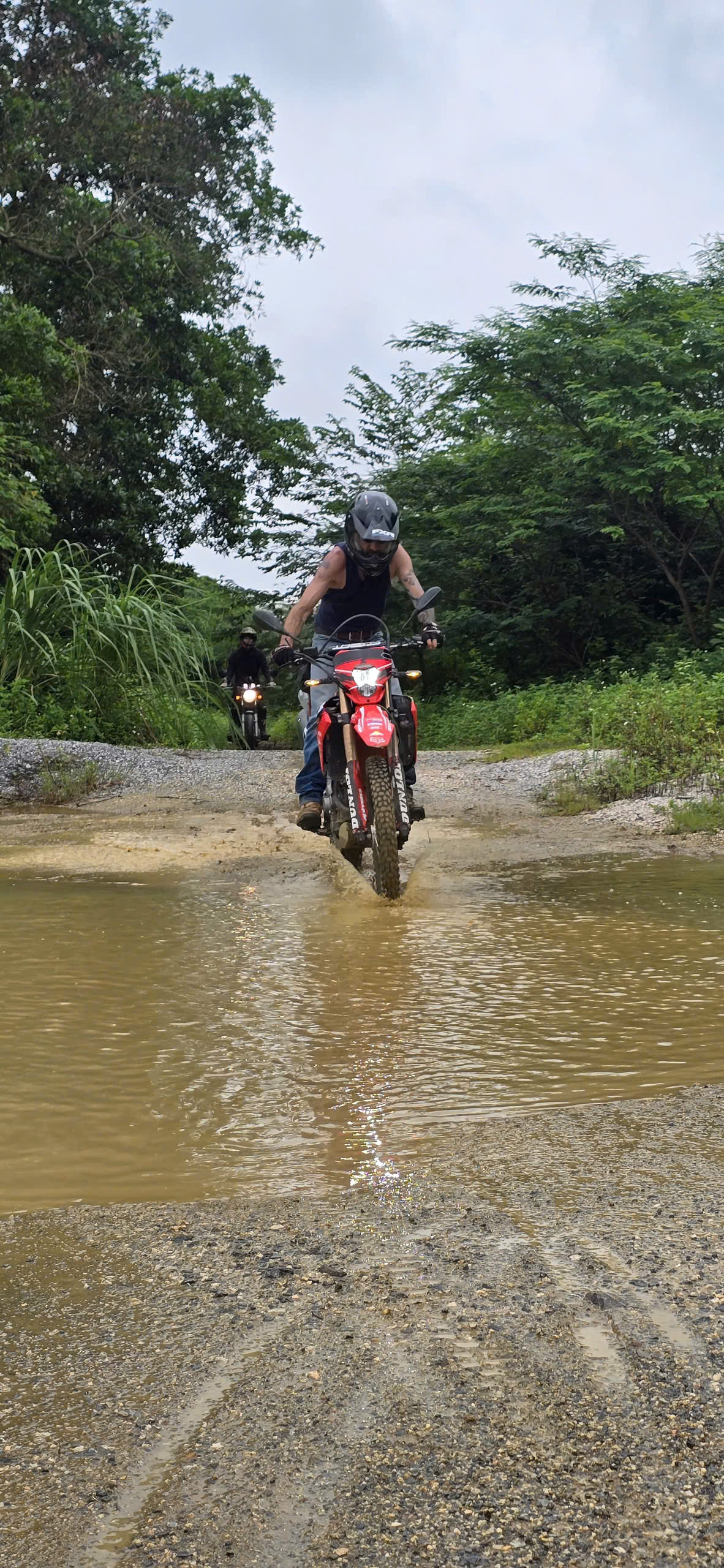 Well-Maintained Motorbikes