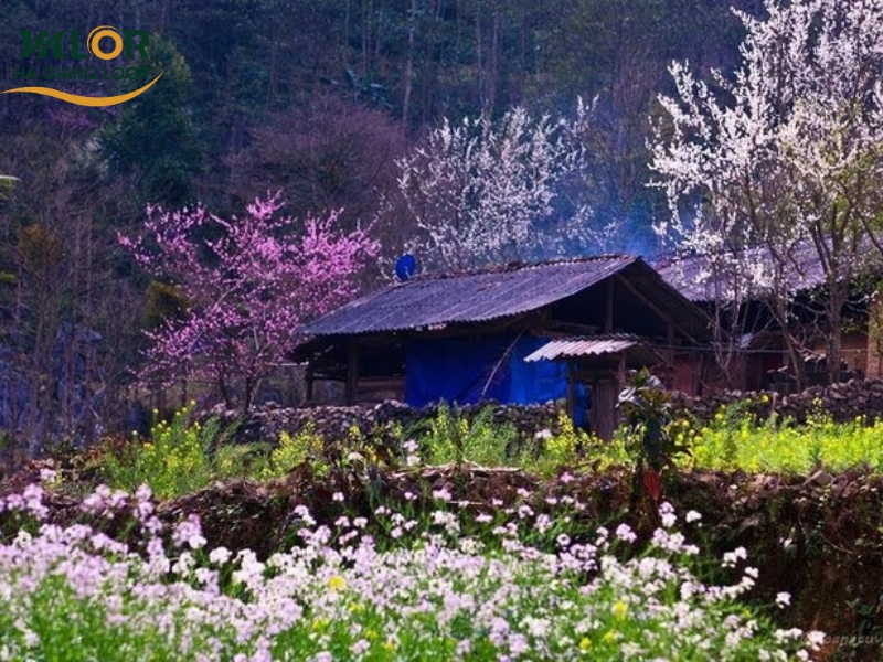 Best Things to Do in Ha Giang