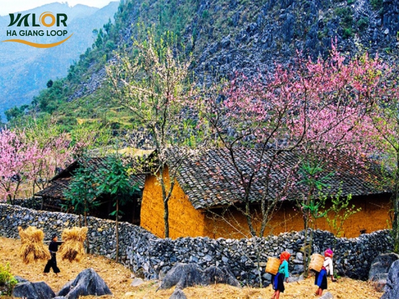 Best Things to Do in Ha Giang