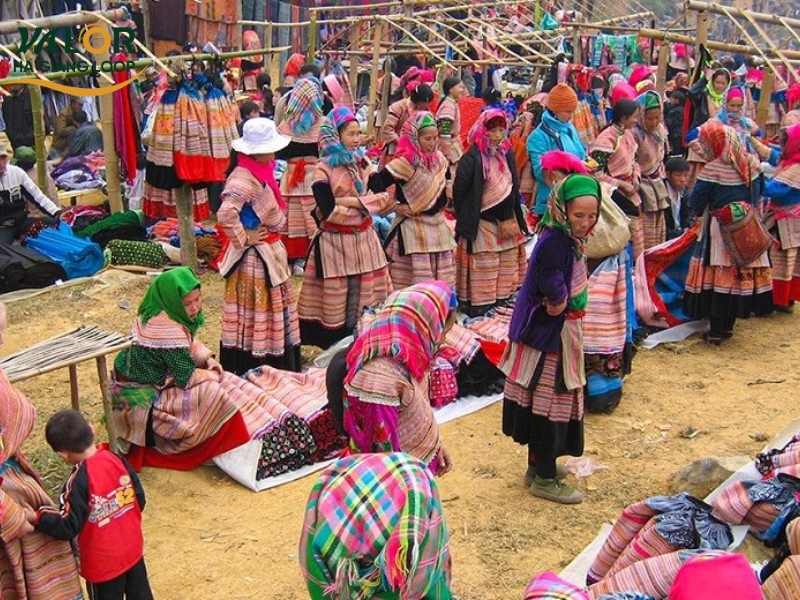 Best Things to Do in Ha Giang