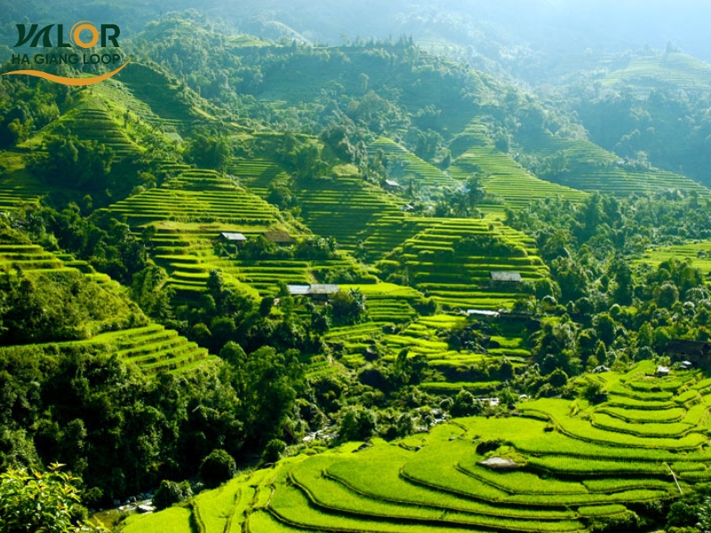 Best Things to Do in Ha Giang