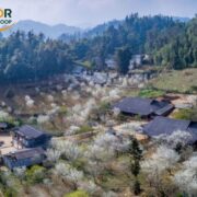 Du Gia Village in Ha Giang