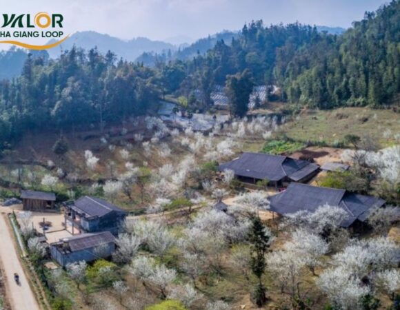 All you need to know about Du Gia Villag...