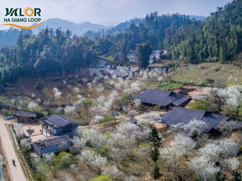 Du Gia Village in Ha Giang