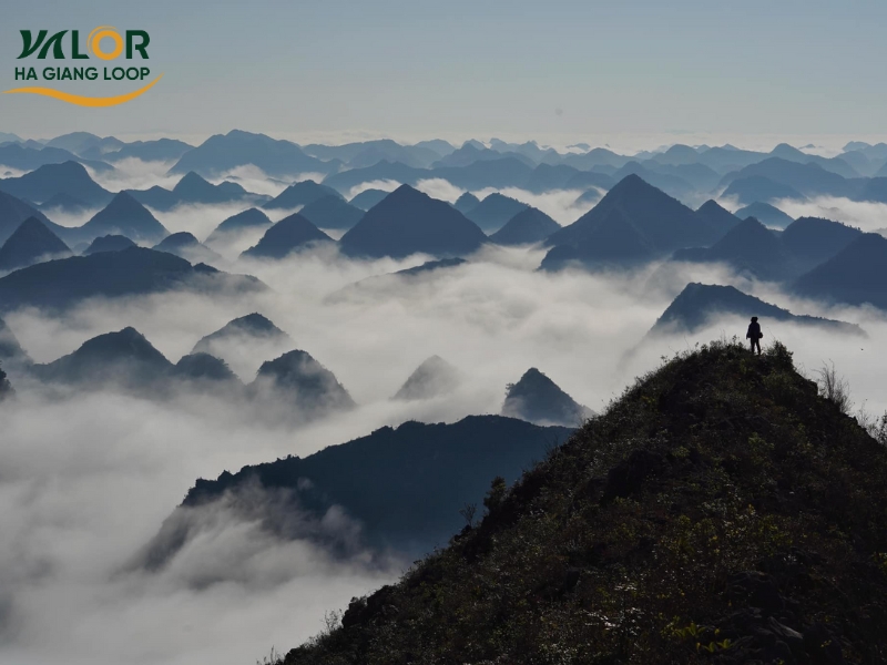 Ha Giang Cloud Hunting