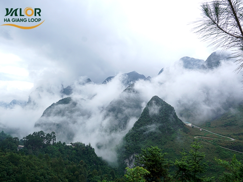 Ha Giang Cloud Hunting