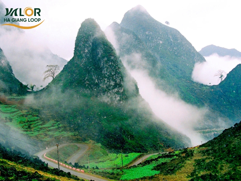 Ha Giang Cloud Hunting