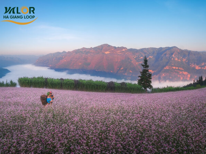 Ha Giang Loop Dangerous