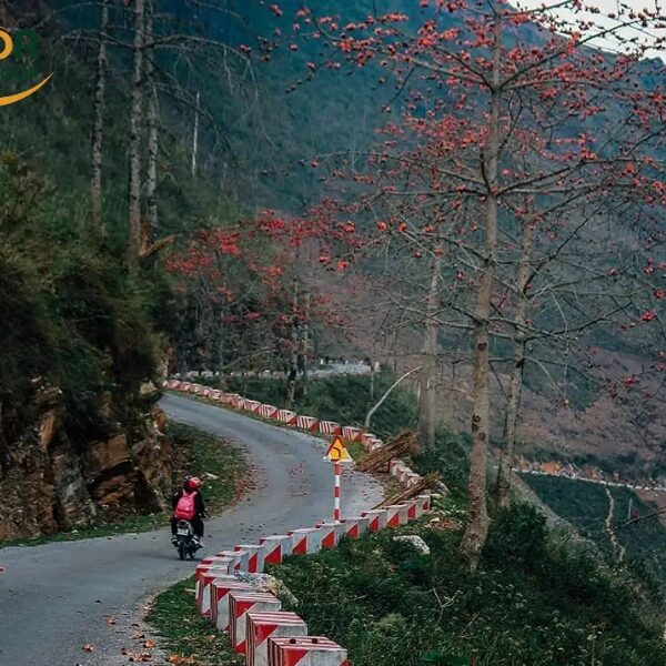 Ha Giang Loop Map