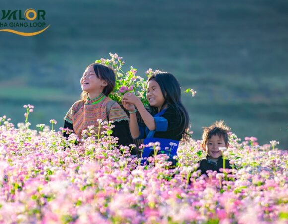 The traditional festivals of Ha Giang: U...