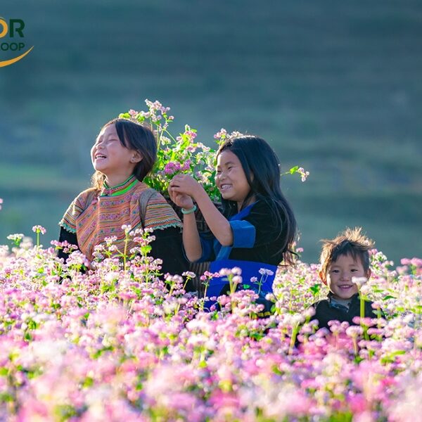 Ha Giang Traditional Festivals
