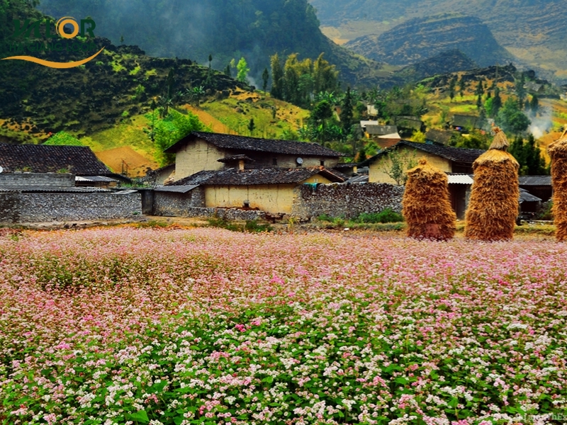 Ha Giang Traditional Festivals