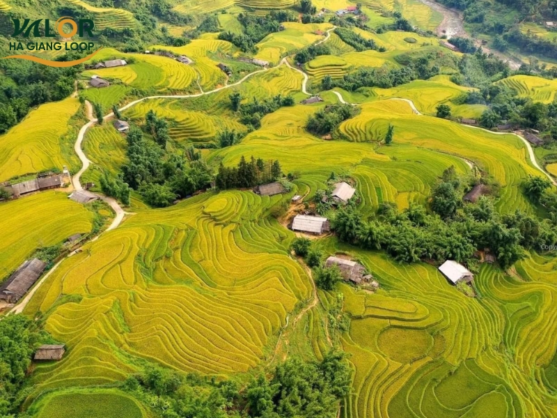 Ha Giang to Ninh Binh Motorbike Route