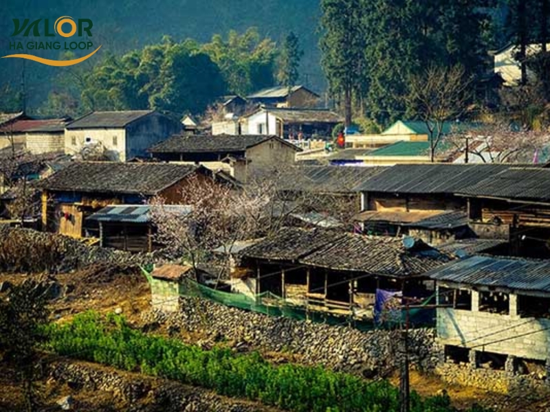 Ha Giang to Ninh Binh Motorbike Route