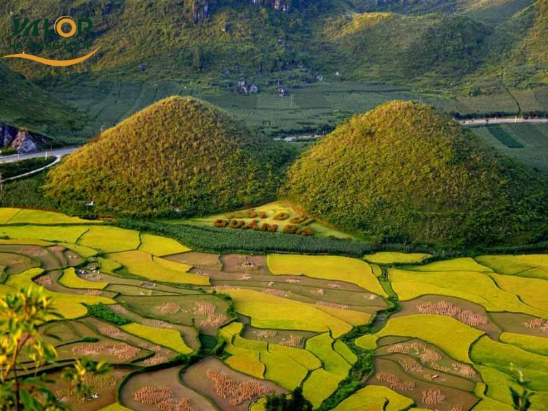 Heavens Gate Quan Ba