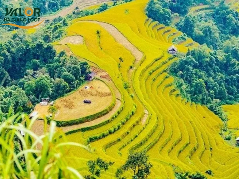 Heavens Gate Quan Ba