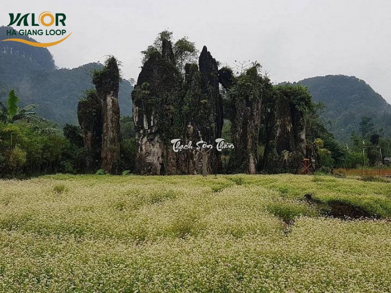 Heavens Gate Quan Ba