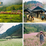 Time to Join Ha Giang Tours