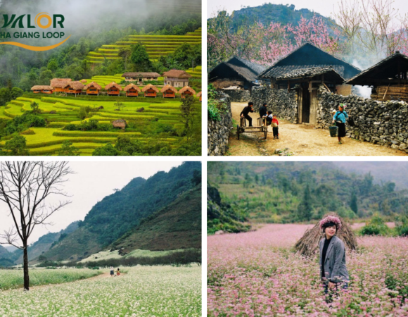 Time to join Ha Giang tours: Plan your ultimate Ha Giang adventure