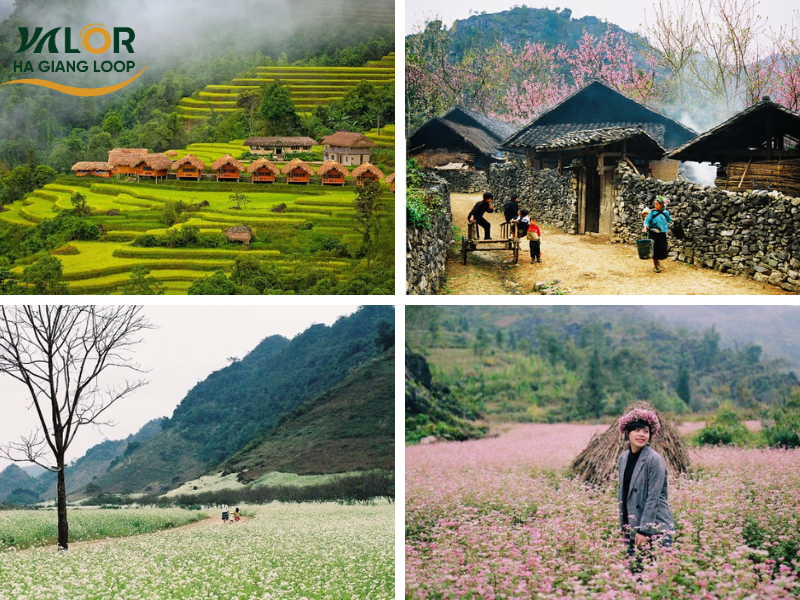 Time to Join Ha Giang Tours