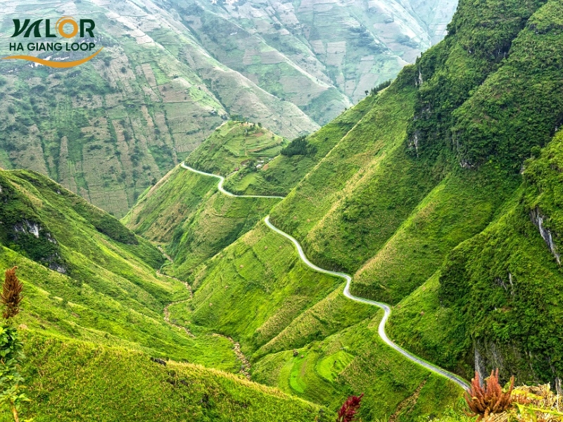 Time to Join Ha Giang Tours