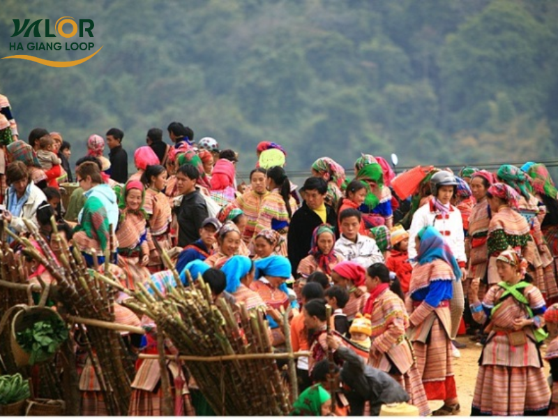 Time to Join Ha Giang Tours