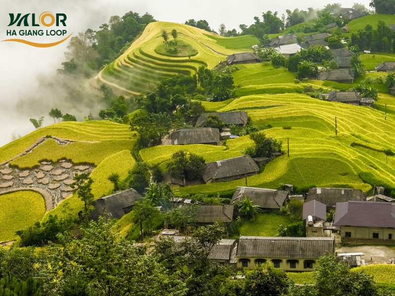 Trekking in Ha Giang