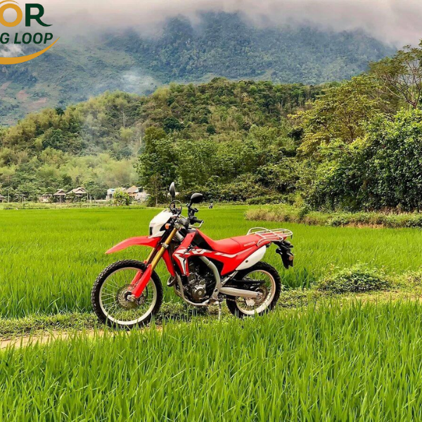 All You Need for a Ha Giang Loop Trip