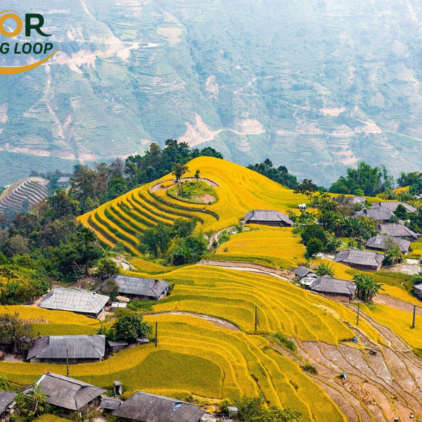 Du Gia Village In Ha Giang