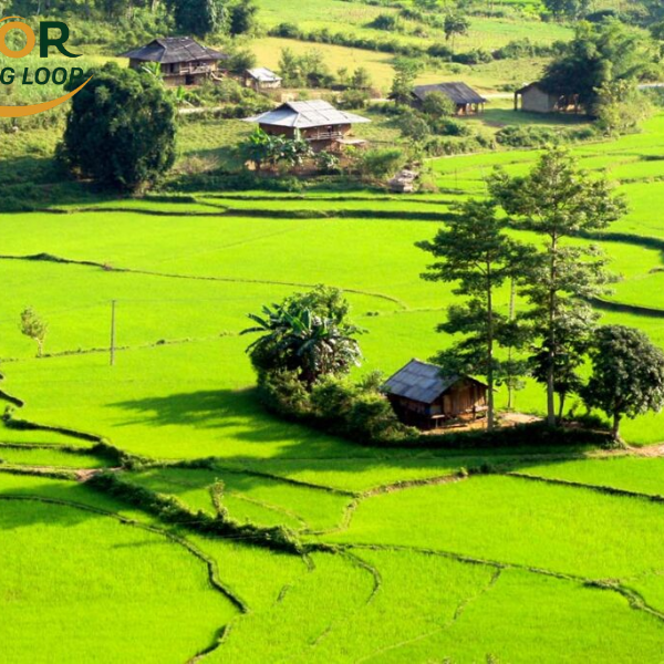 Du Gia Village In Ha Giang