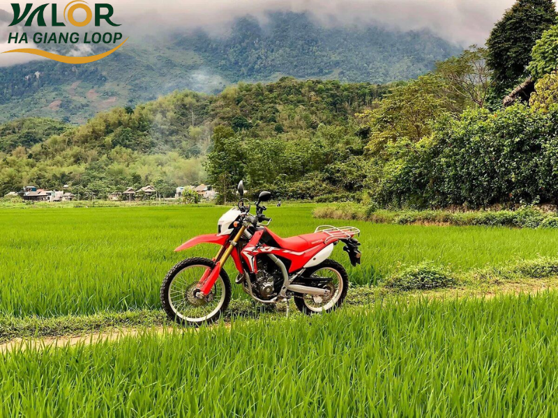  Ha Giang Motorbike Rental 