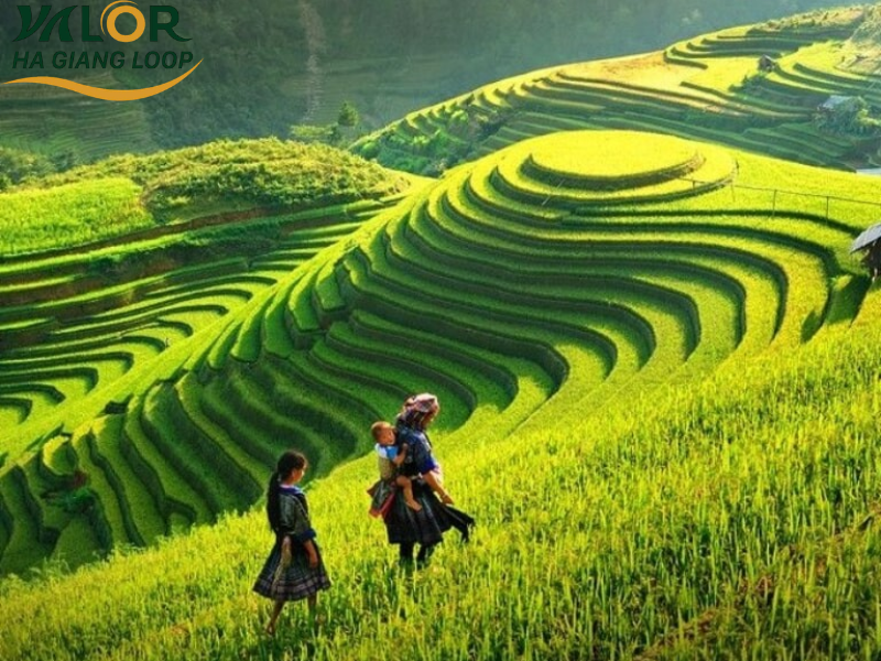 Ha Giang Weather