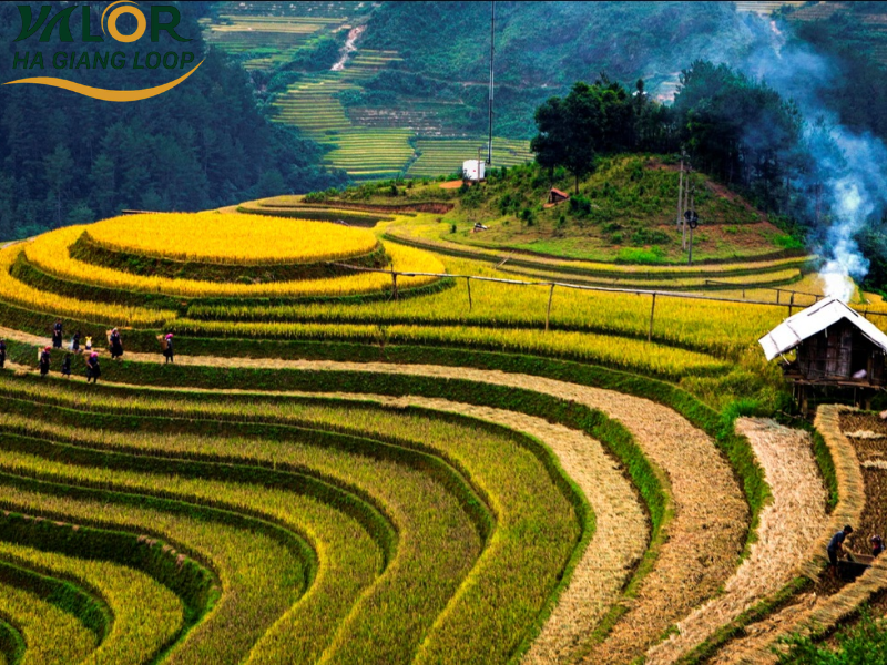 Whens The Best Time To Visit Ha Giang