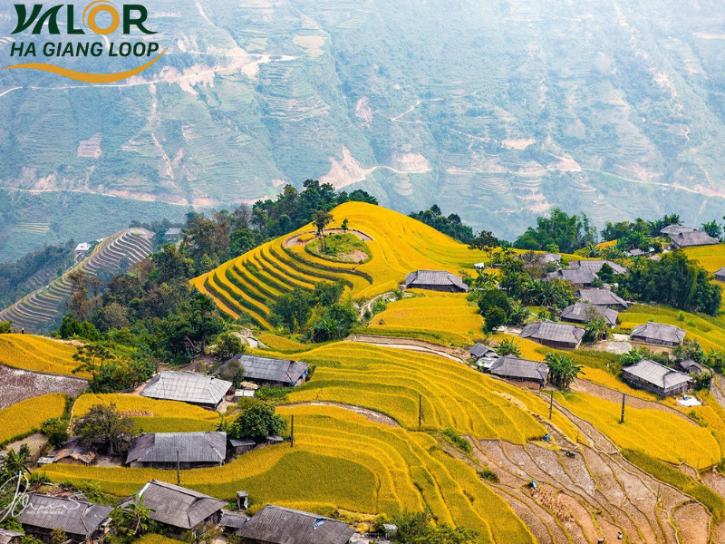 Whens The Best Time To Visit Ha Giang