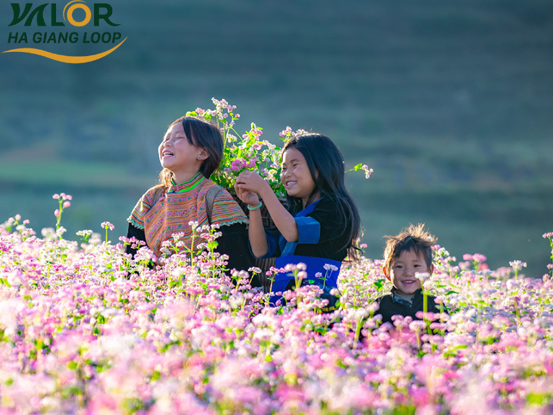 Whens The Best Time To Visit Ha Giang