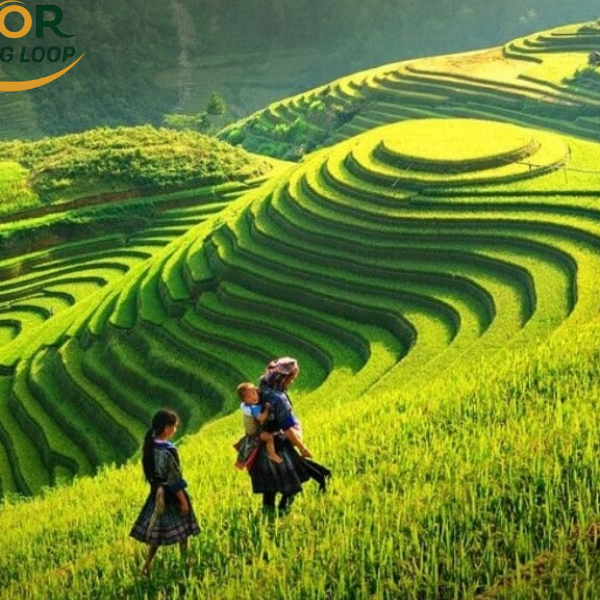 Whens The Best Time To Visit Ha Giang