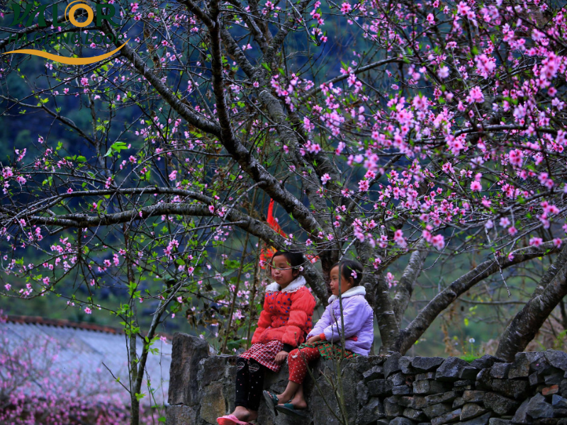 Where Is Ha Giang Loop